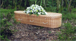 A coffin in a wood